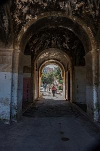 Oranie 2017-98